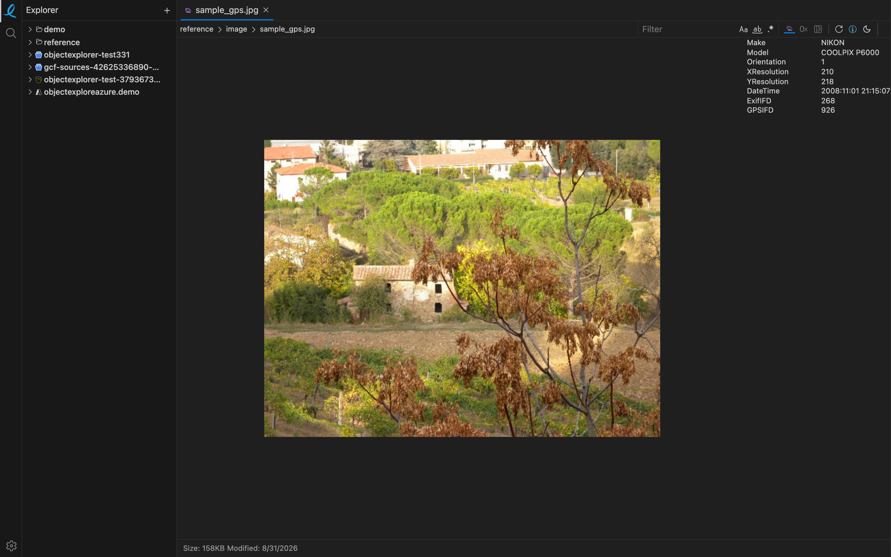 An image with its EXIF and GPS metadata beside it